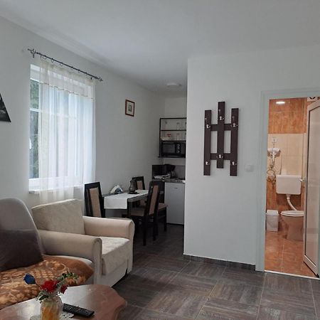 Vila Mozart - Apartments & Studios Kopaonik Buitenkant foto