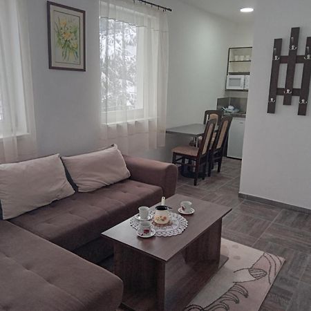 Vila Mozart - Apartments & Studios Kopaonik Buitenkant foto