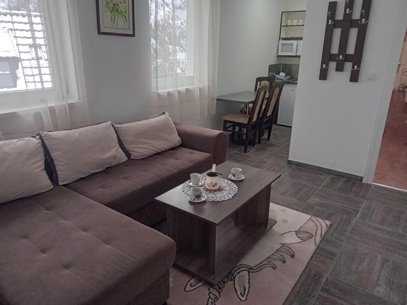 Vila Mozart - Apartments & Studios Kopaonik Buitenkant foto