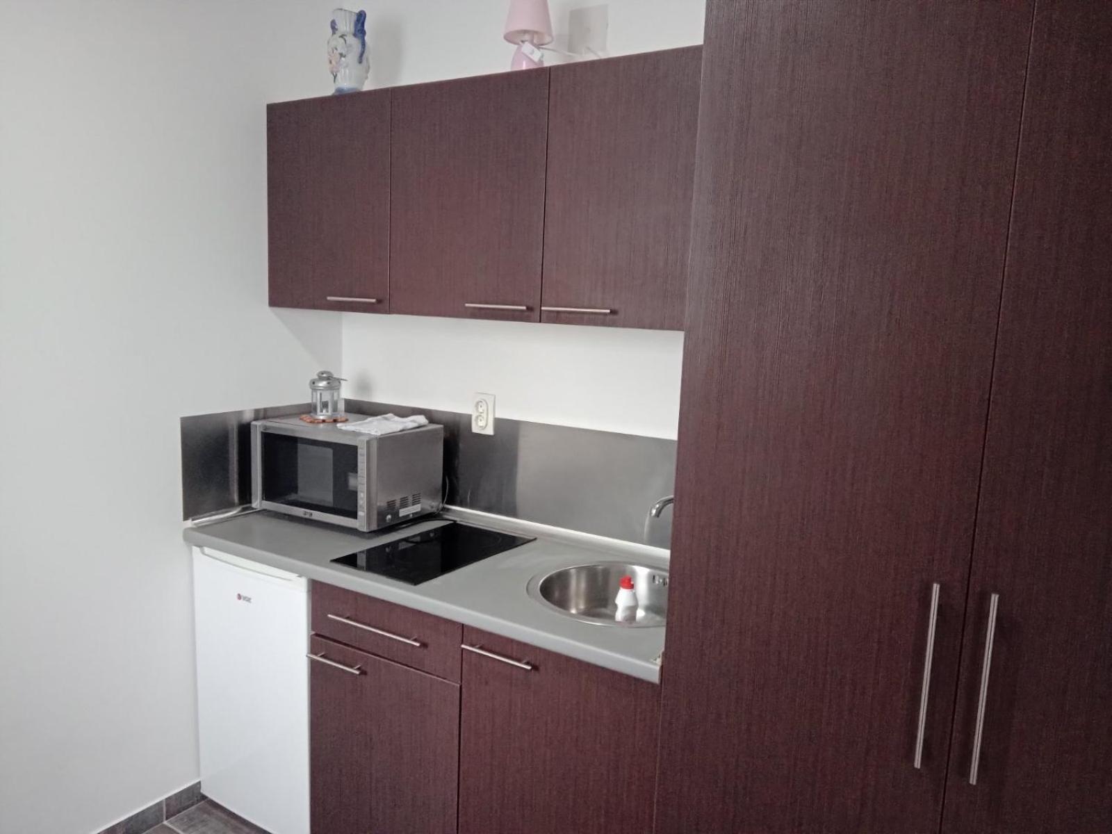 Vila Mozart - Apartments & Studios Kopaonik Buitenkant foto